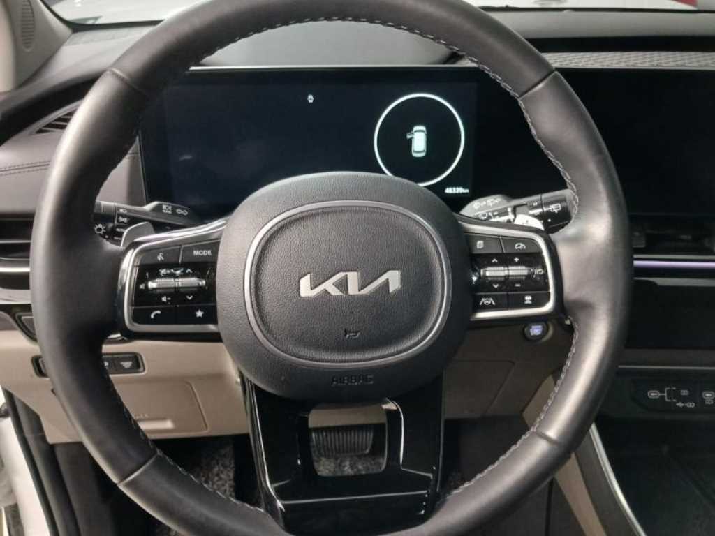 KIA Carnival - Vista 11