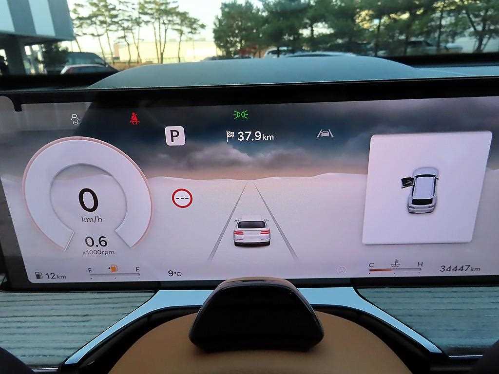 Genesis GV80 - Vista 9