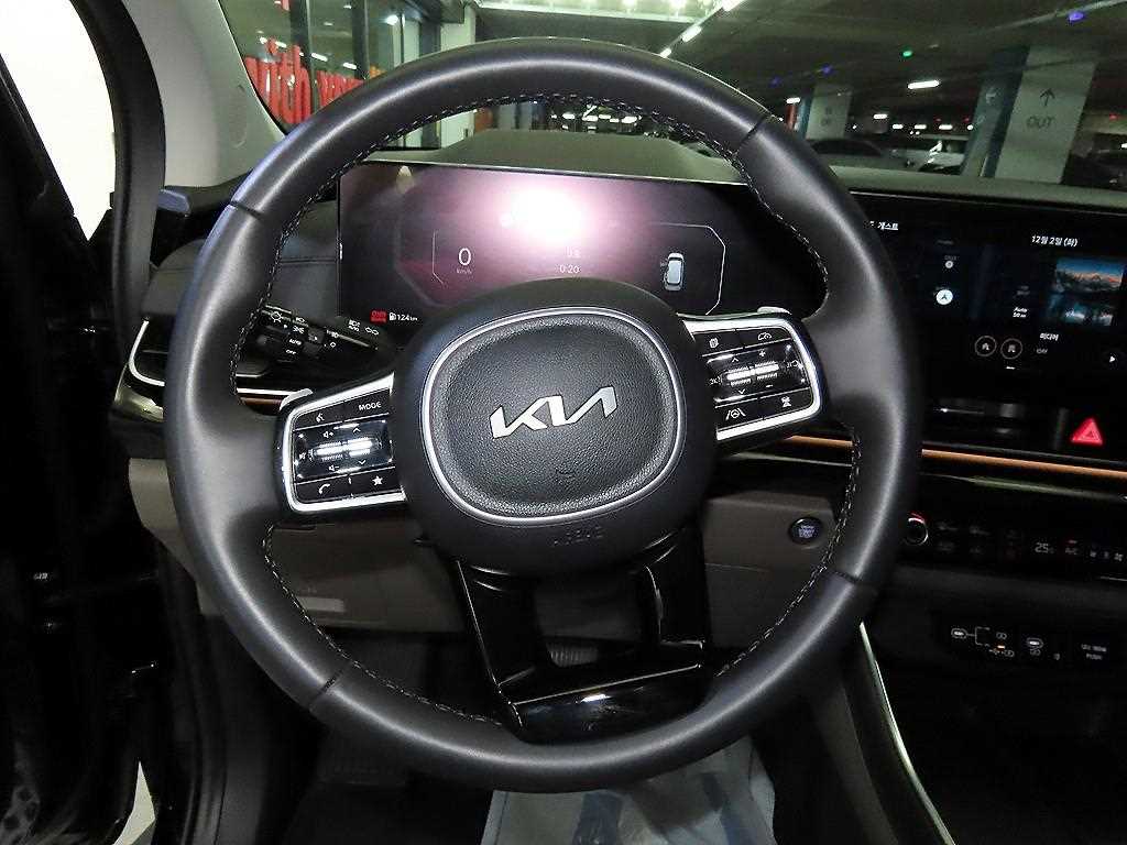 KIA Carnival - Vista 8