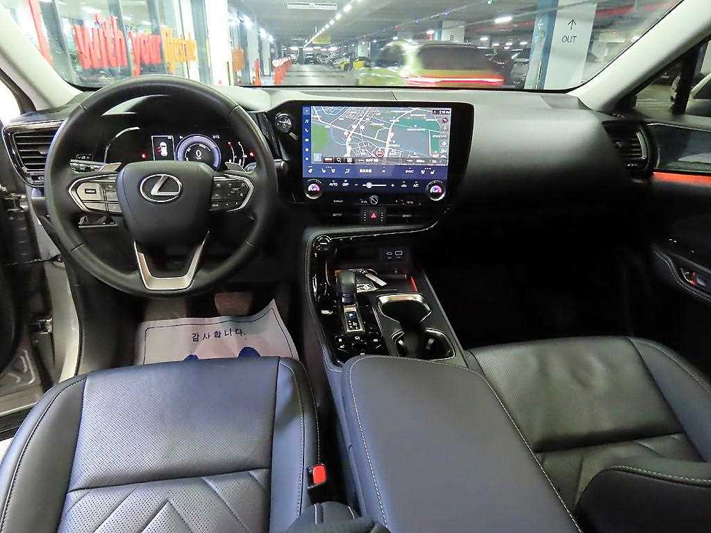Lexus NX - Vista 10