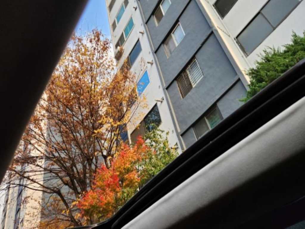 Maserati Quattroforte - Vista 12