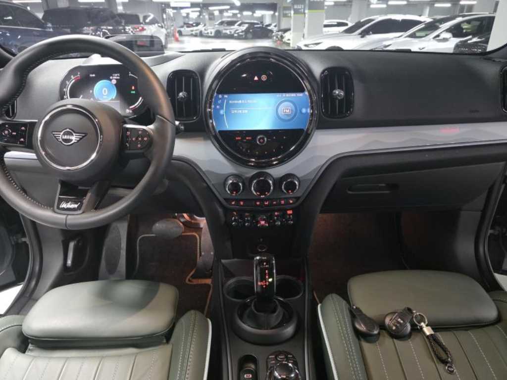 Mini Countryman - Vista 10