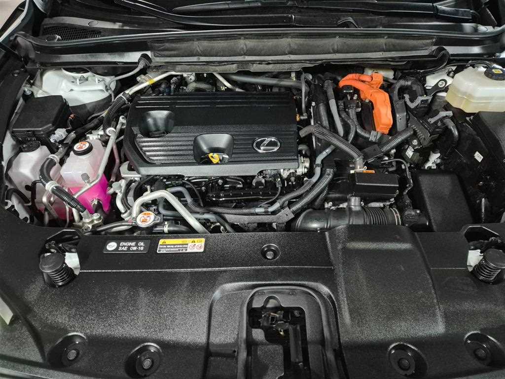 Lexus RX 2024 Blanco - Importación desde Corea - HF Imports Iquique - Foto 20