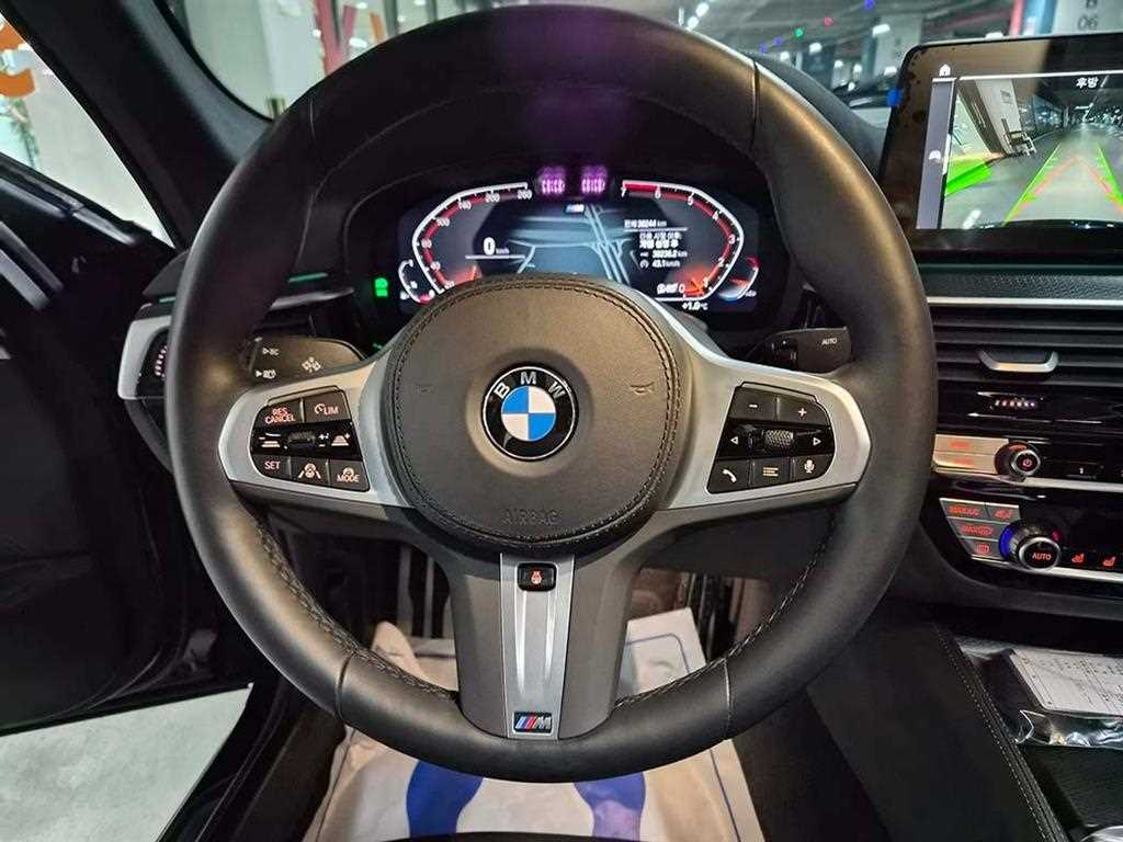 BMW 5 Series - Vista 9