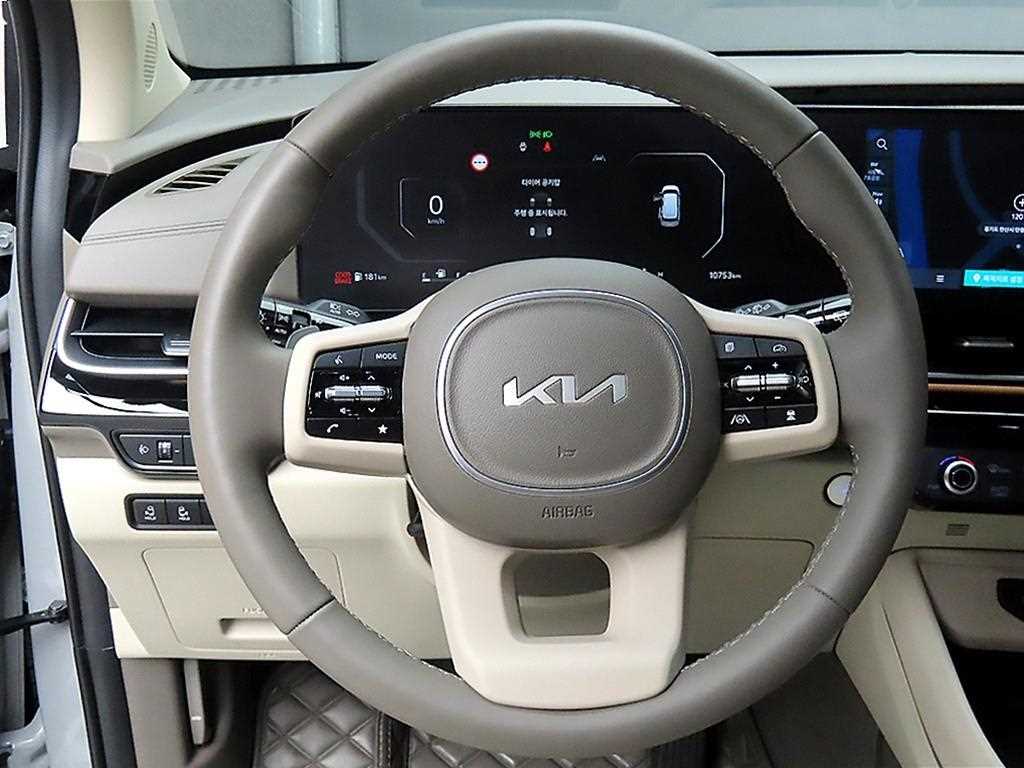 KIA Carnival - Vista 9