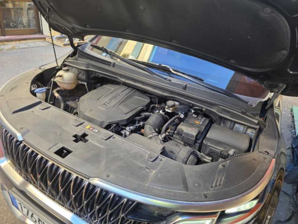 KIA Carnival - Vista 5