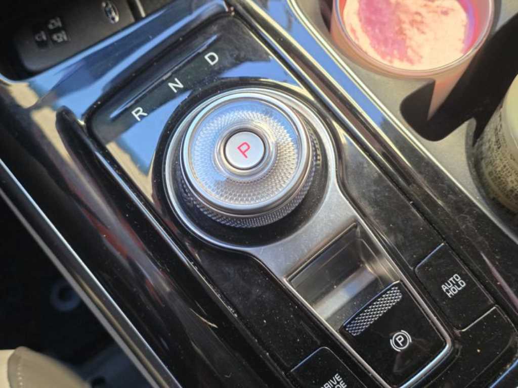 KIA Carnival - Vista 10