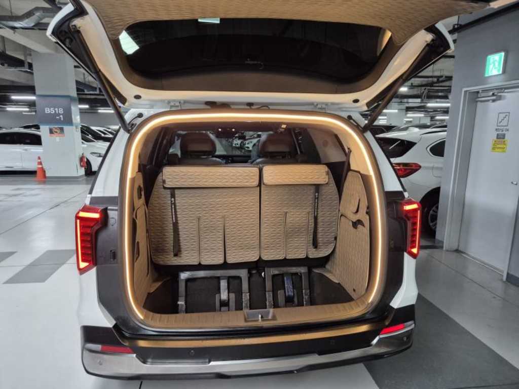 KIA Carnival - Vista 6