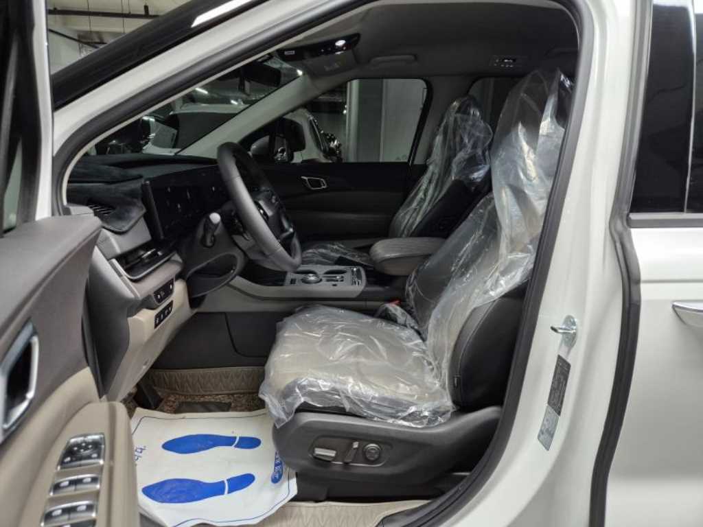 KIA Carnival - Vista 9