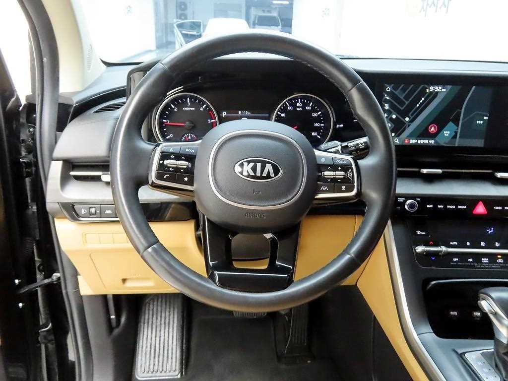 KIA Carnival - Vista 8