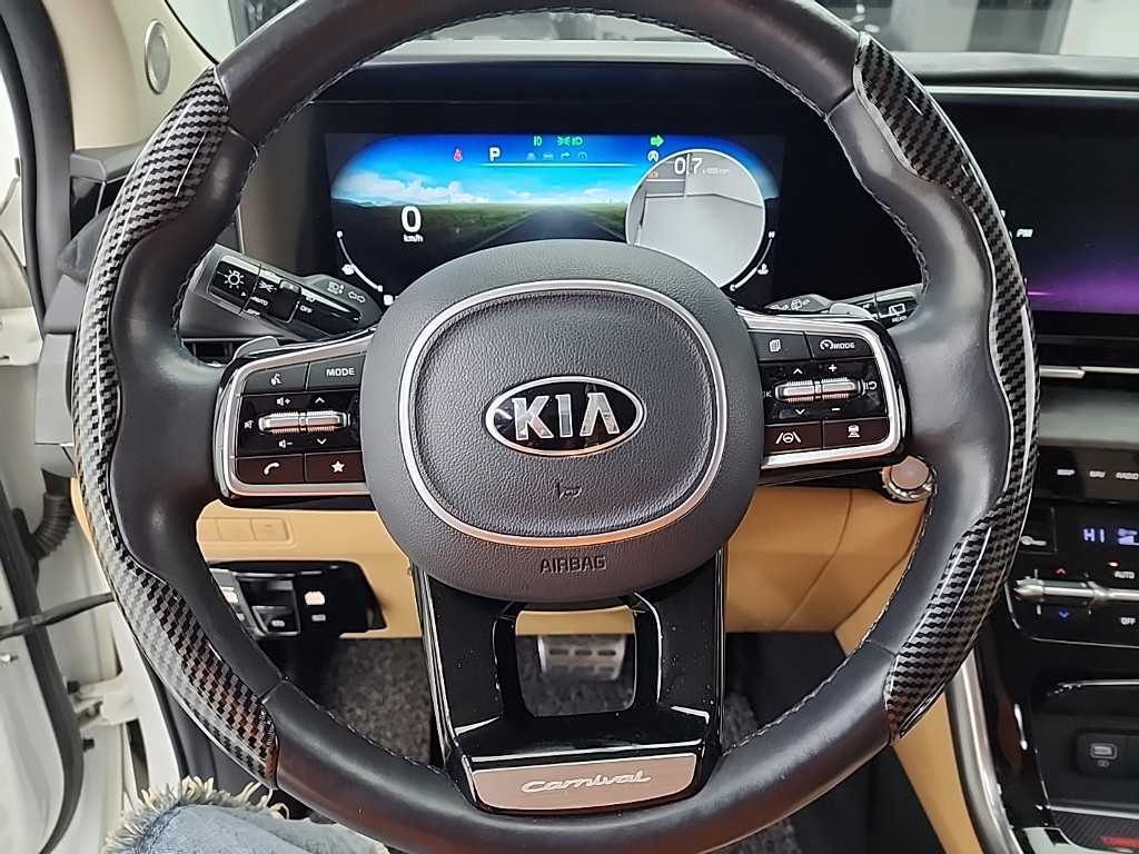 KIA Carnival - Vista 9