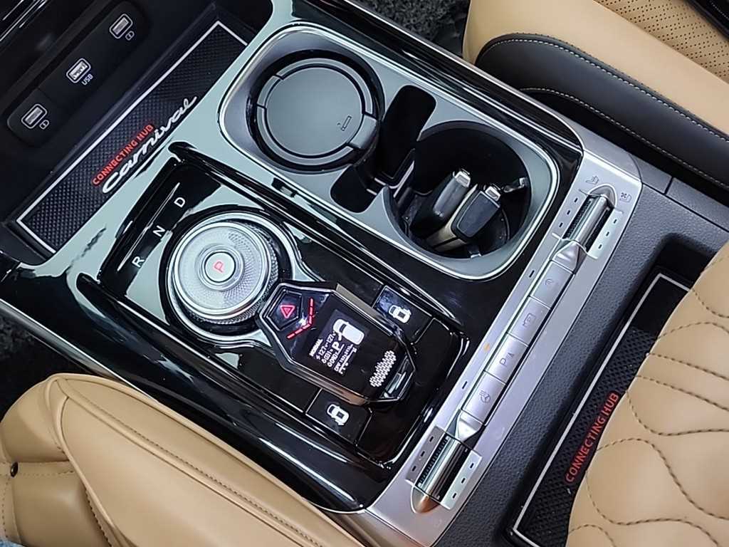 KIA Carnival - Vista 8