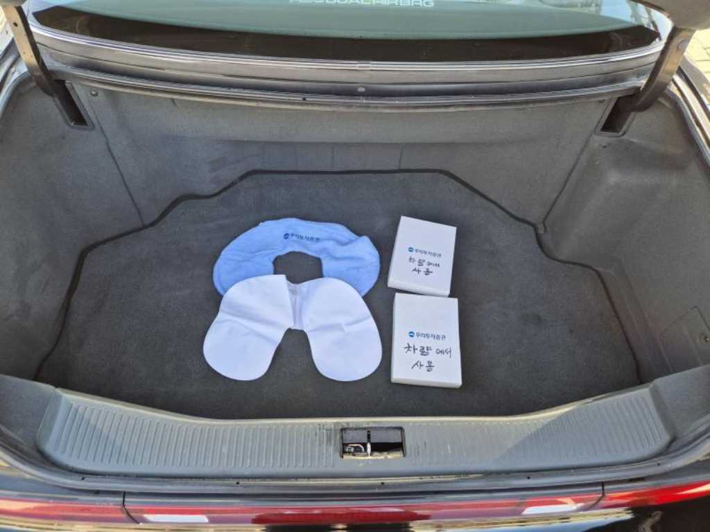 HYUNDAI Dynasty - Vista 5