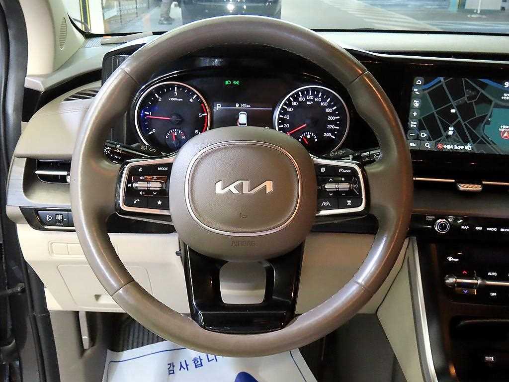 KIA Carnival - Vista 9