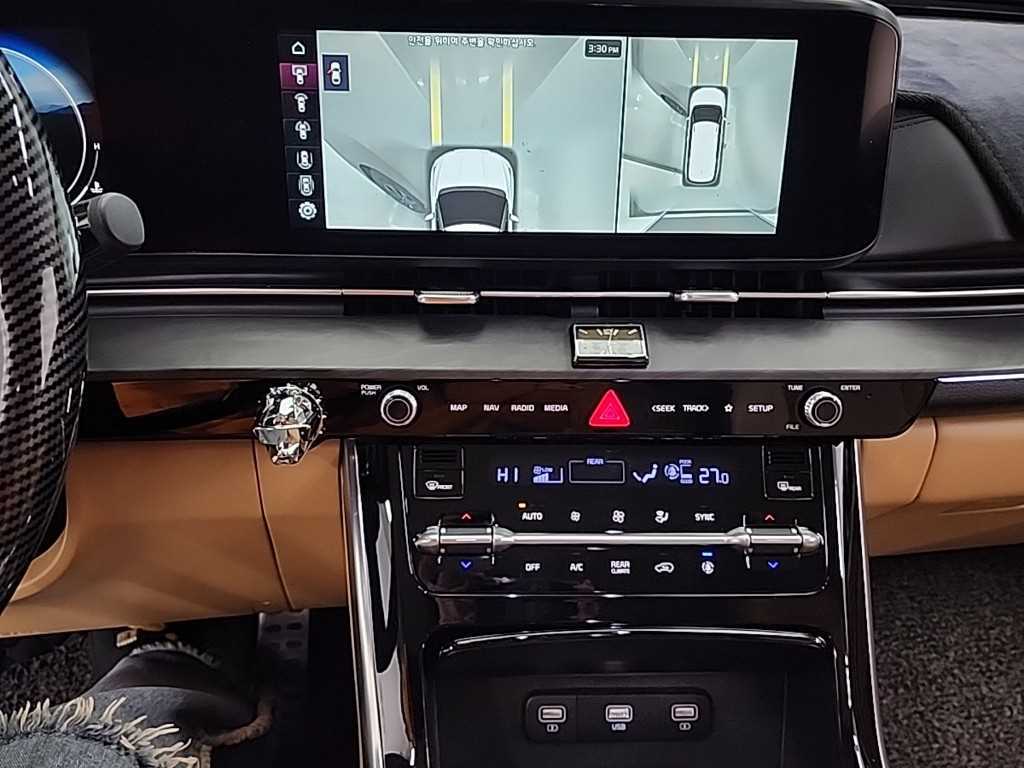 KIA Carnival - Vista 10