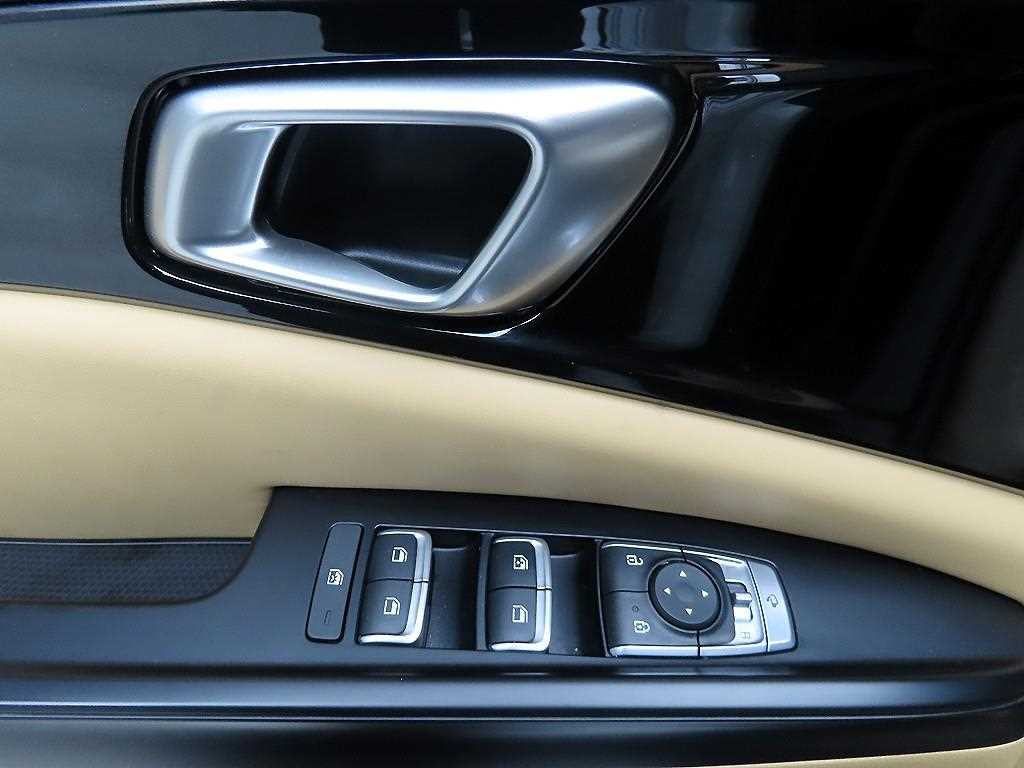 KIA Carnival - Vista 11