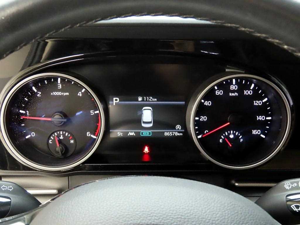 KIA Carnival - Vista 6