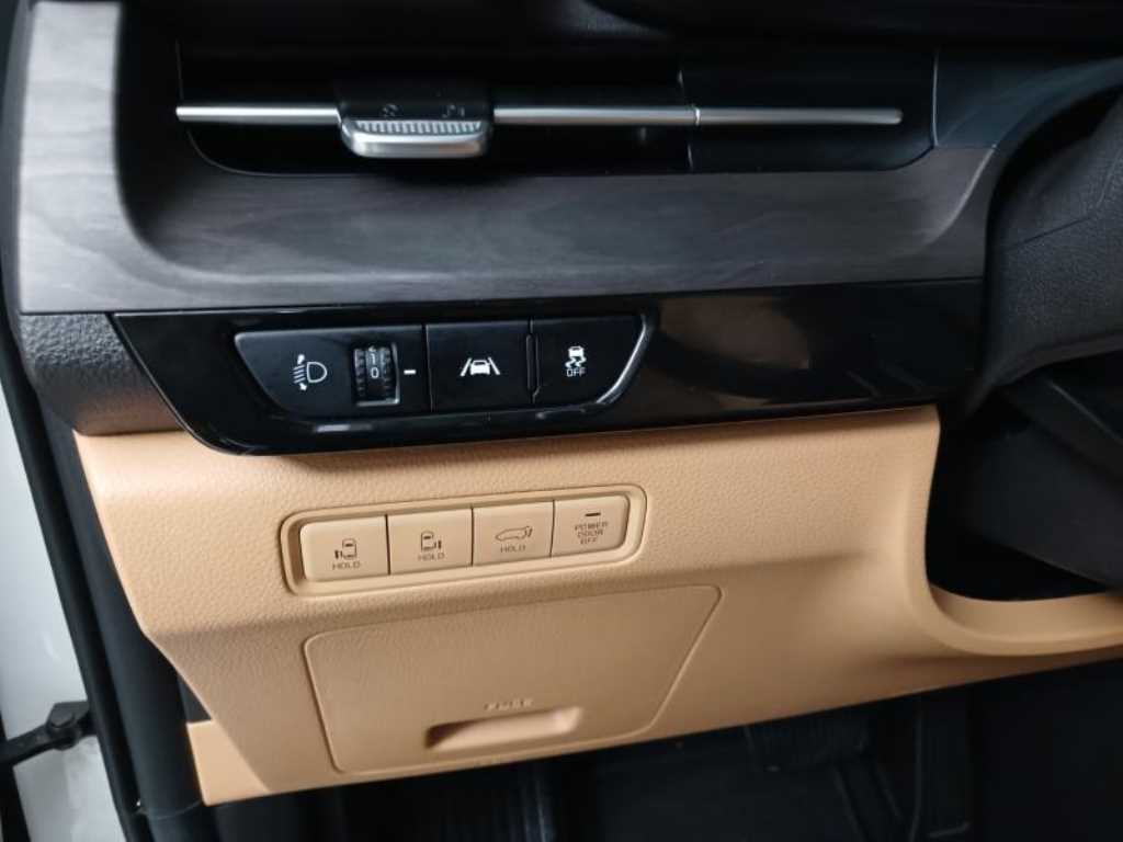 KIA Carnival - Vista 12