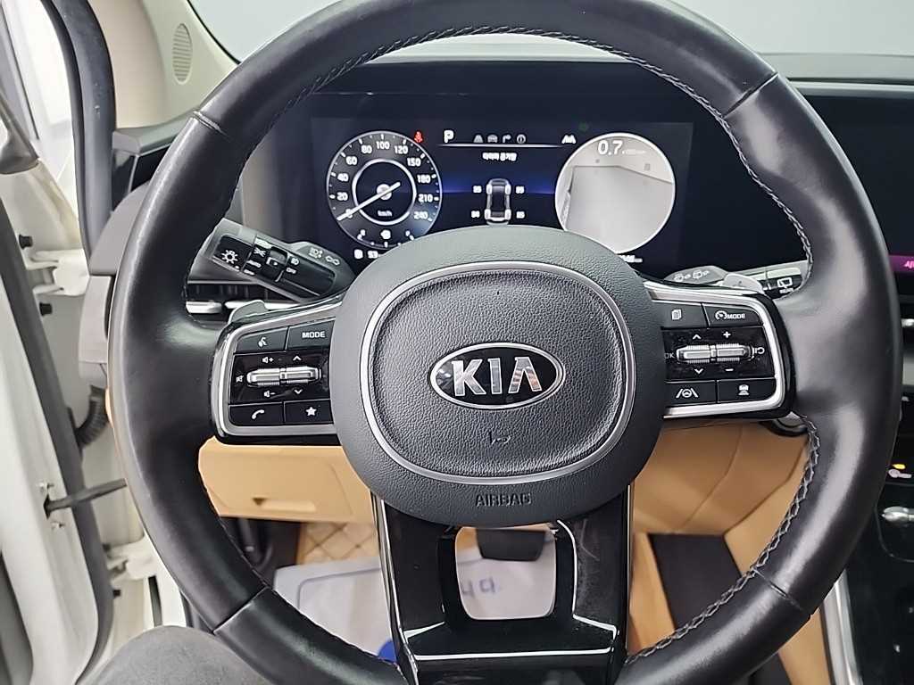 KIA Carnival - Vista 9