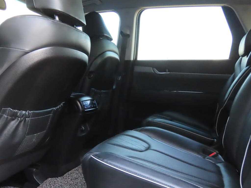 HYUNDAI Palisade - Vista 12