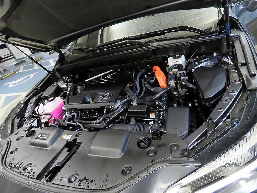 Lexus NX 2025 - Importación desde Corea - HF Imports Iquique - Foto 19