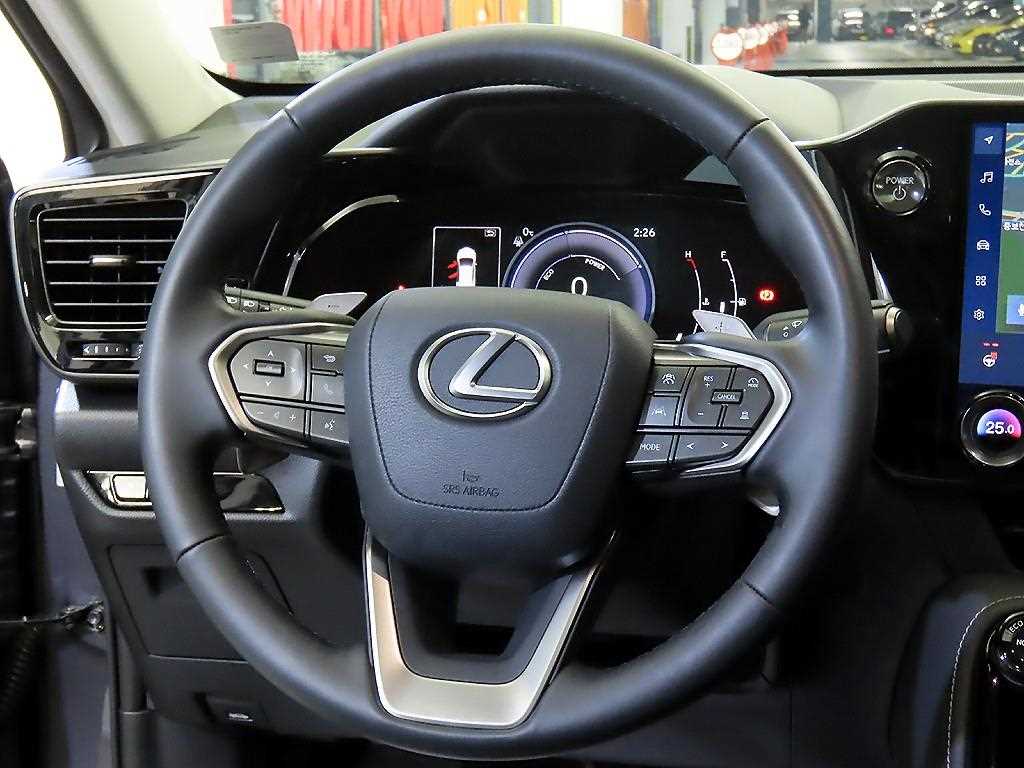 Lexus NX - Vista 8