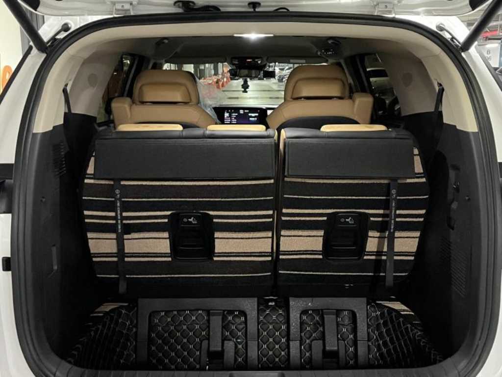 KIA Carnival - Vista 6