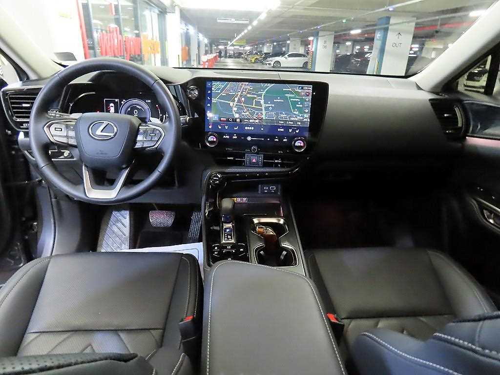Lexus NX - Vista 10