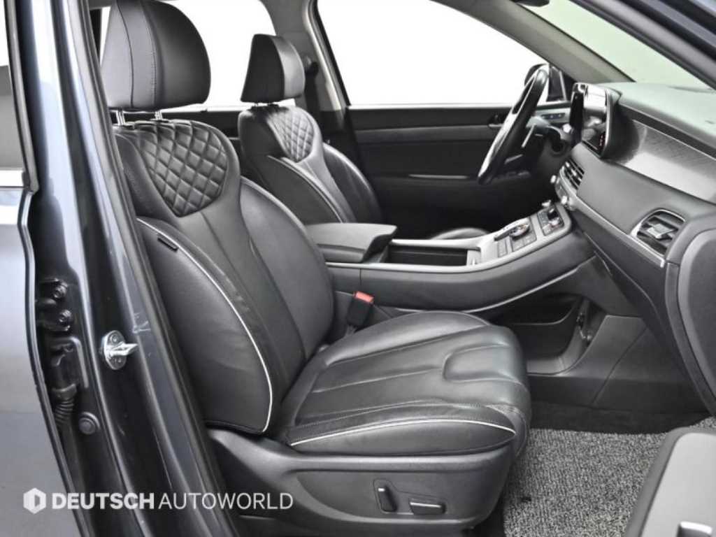 HYUNDAI Palisade - Vista 10