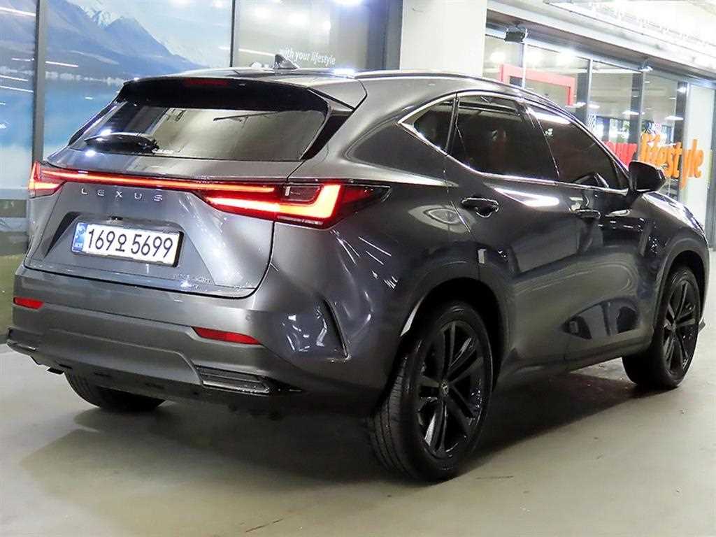 Lexus NX - Vista 4