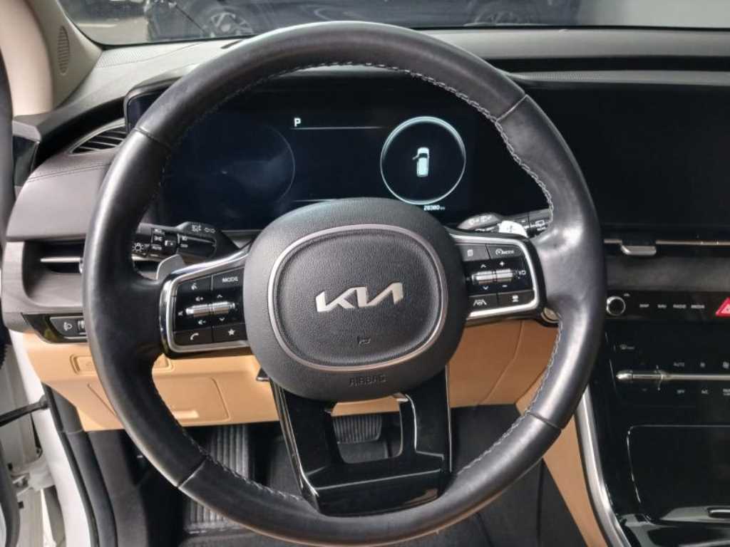 KIA Carnival - Vista 11