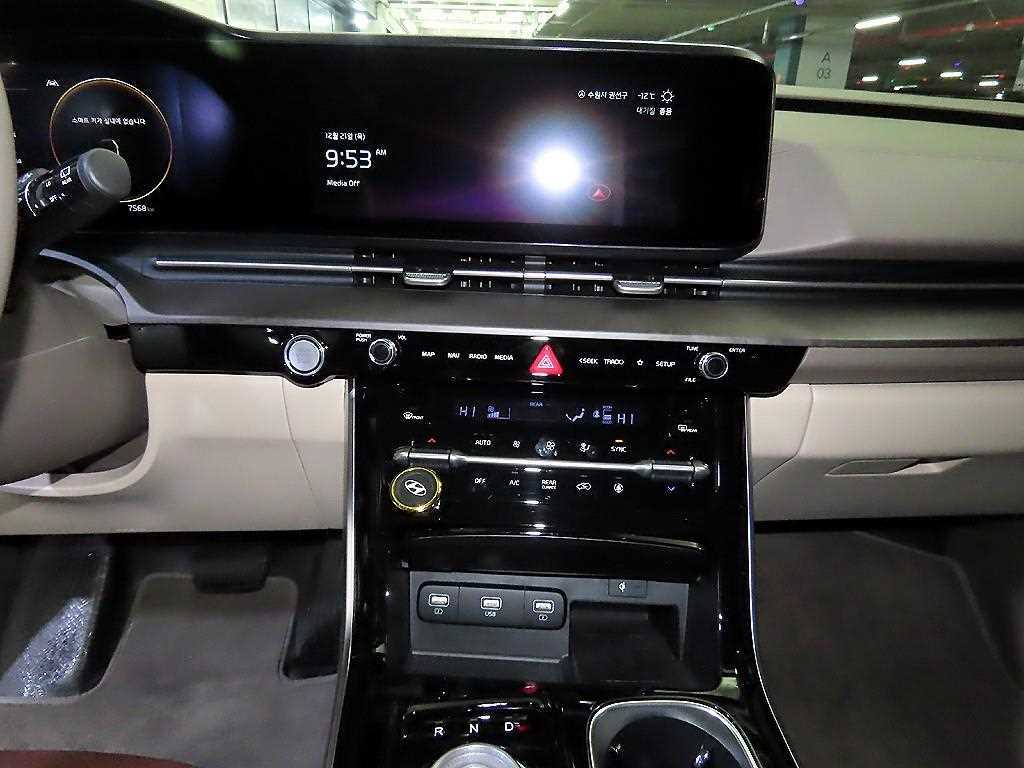 KIA Carnival - Vista 12