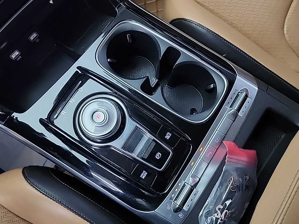 KIA Carnival - Vista 8