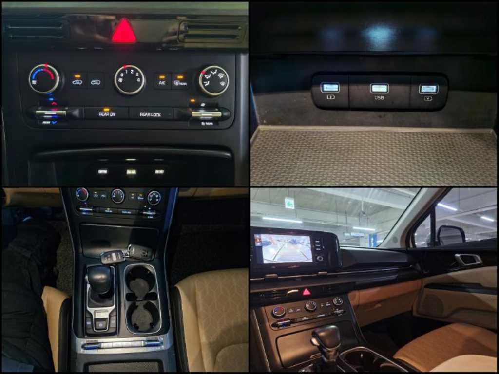 KIA Carnival - Vista 12