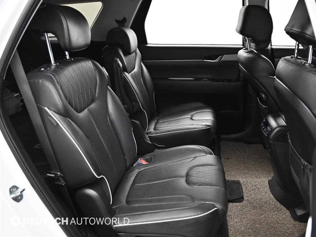 HYUNDAI Palisade - Vista 12