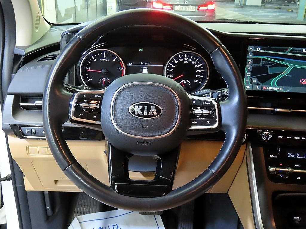 KIA Carnival - Vista 7