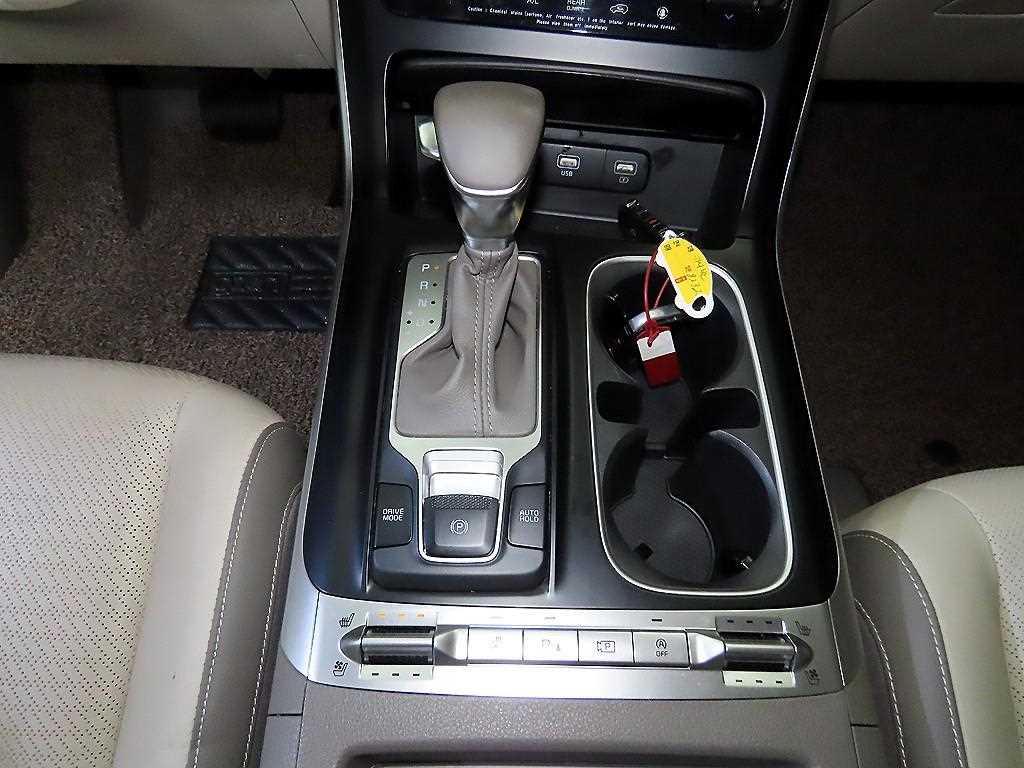 KIA Carnival - Vista 12