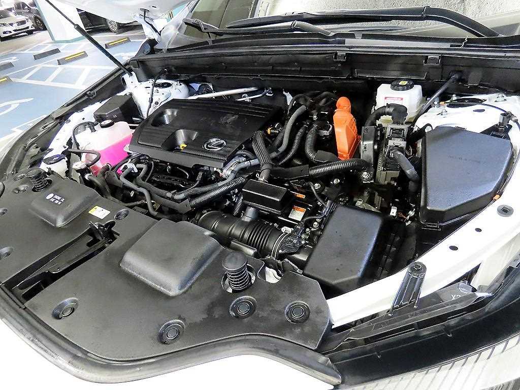 Lexus NX 2023 Blanco - Importación desde Corea - HF Imports Iquique - Foto 19