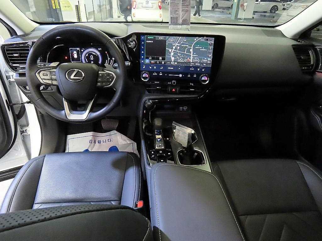 Lexus NX - Vista 10