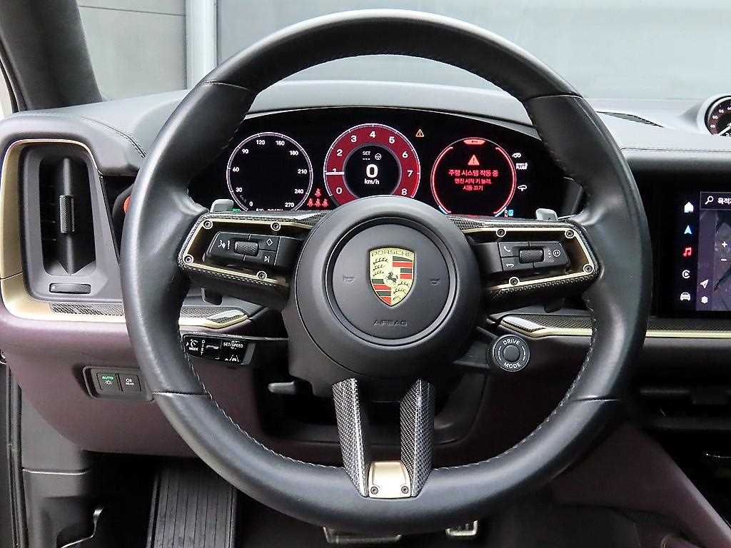 Porsche Cayenne - Vista 9