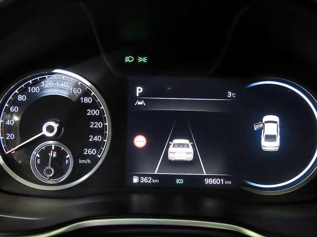 Genesis G80 - Vista 9