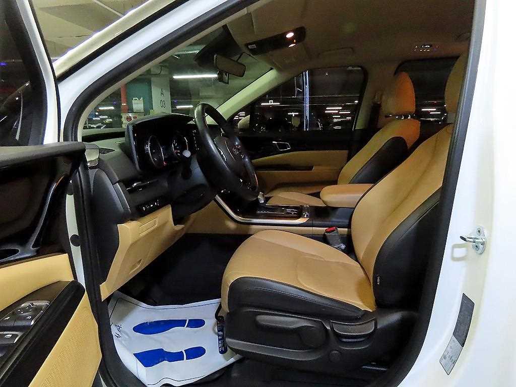 KIA Carnival - Vista 12