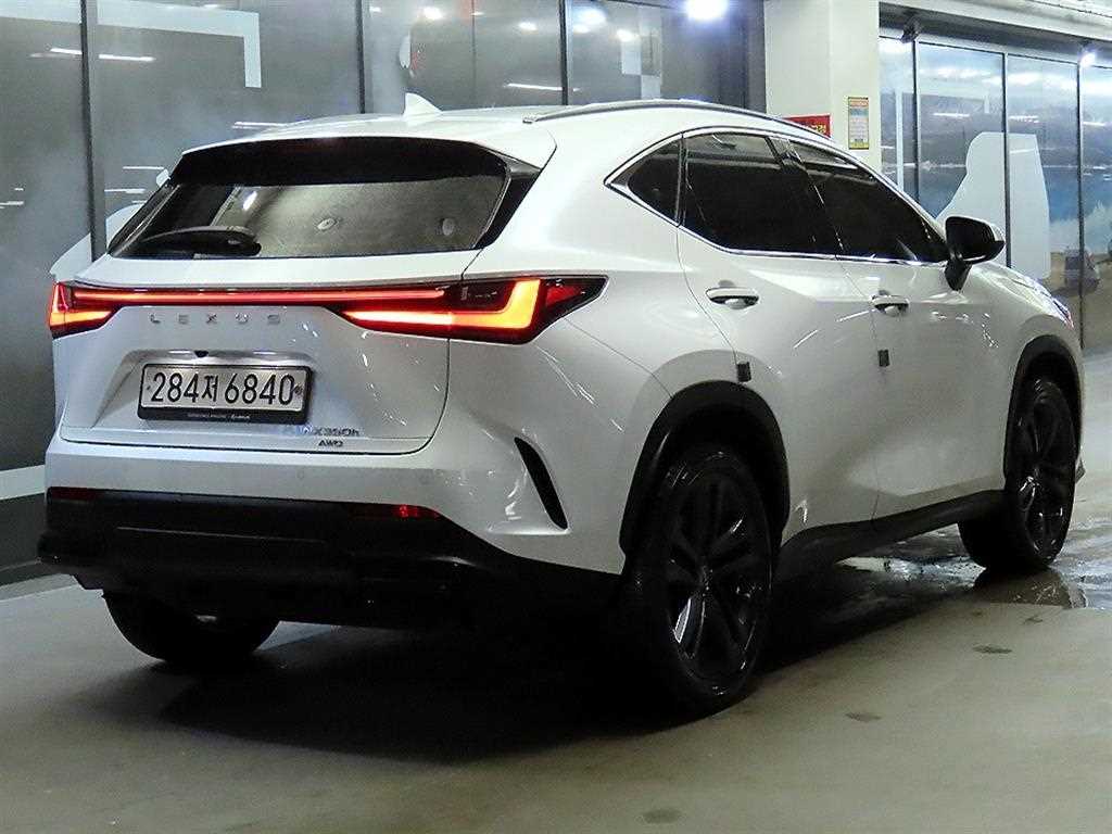Lexus NX - Vista 4