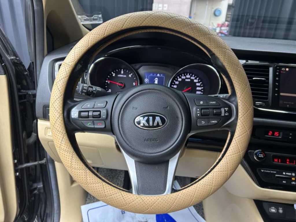 KIA Carnival - Vista 9