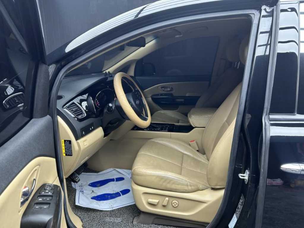 KIA Carnival - Vista 7