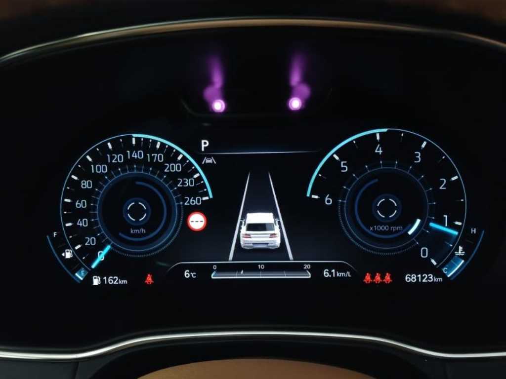 Genesis GV80 - Vista 10