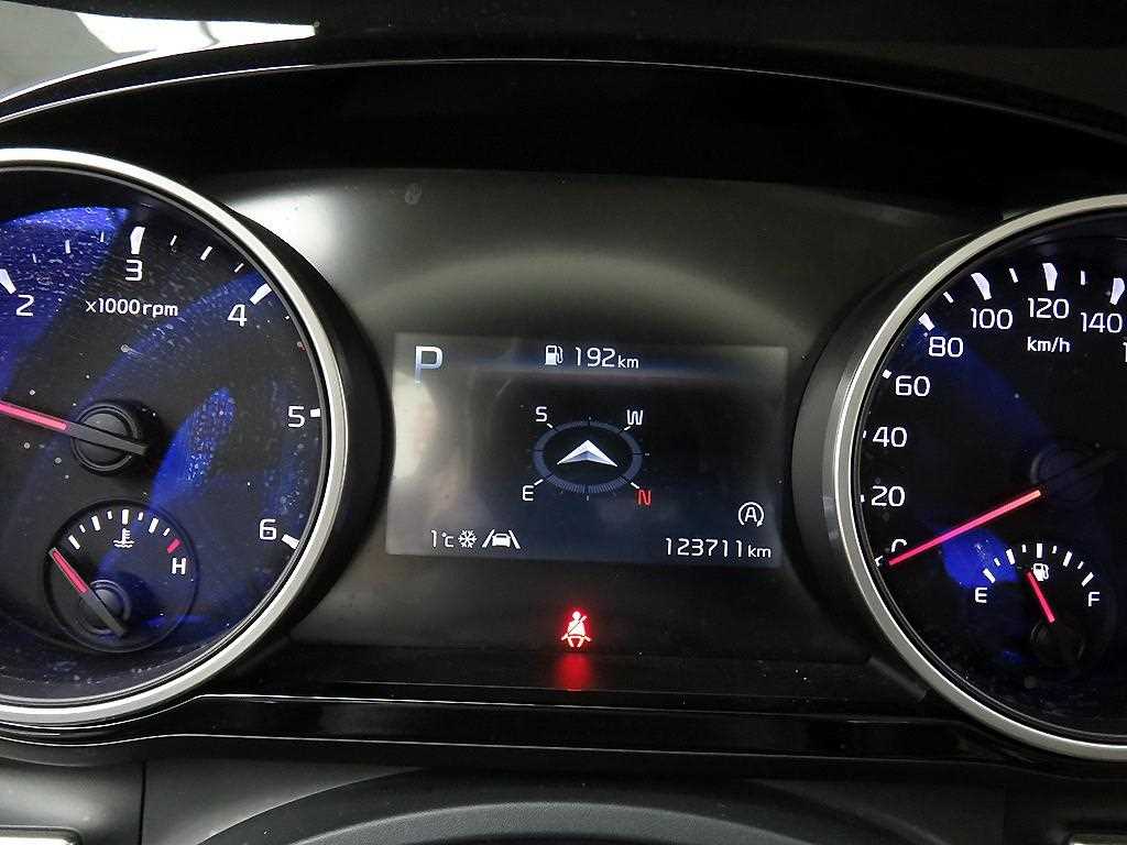 KIA Carnival - Vista 12