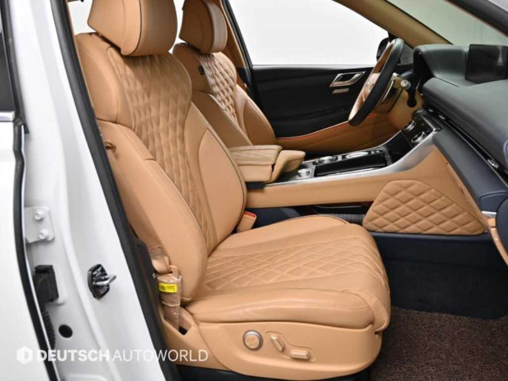 Genesis GV80 - Vista 10