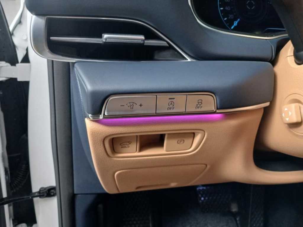 Genesis GV80 - Vista 12