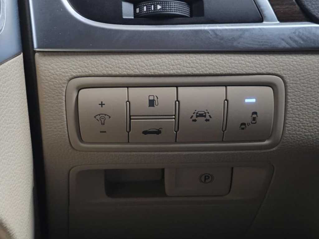 Genesis G80 - Vista 12